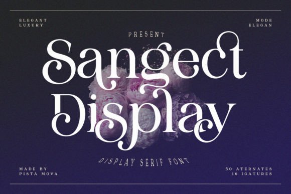 Sangect Display Font: A Web Designer’s Layout Review